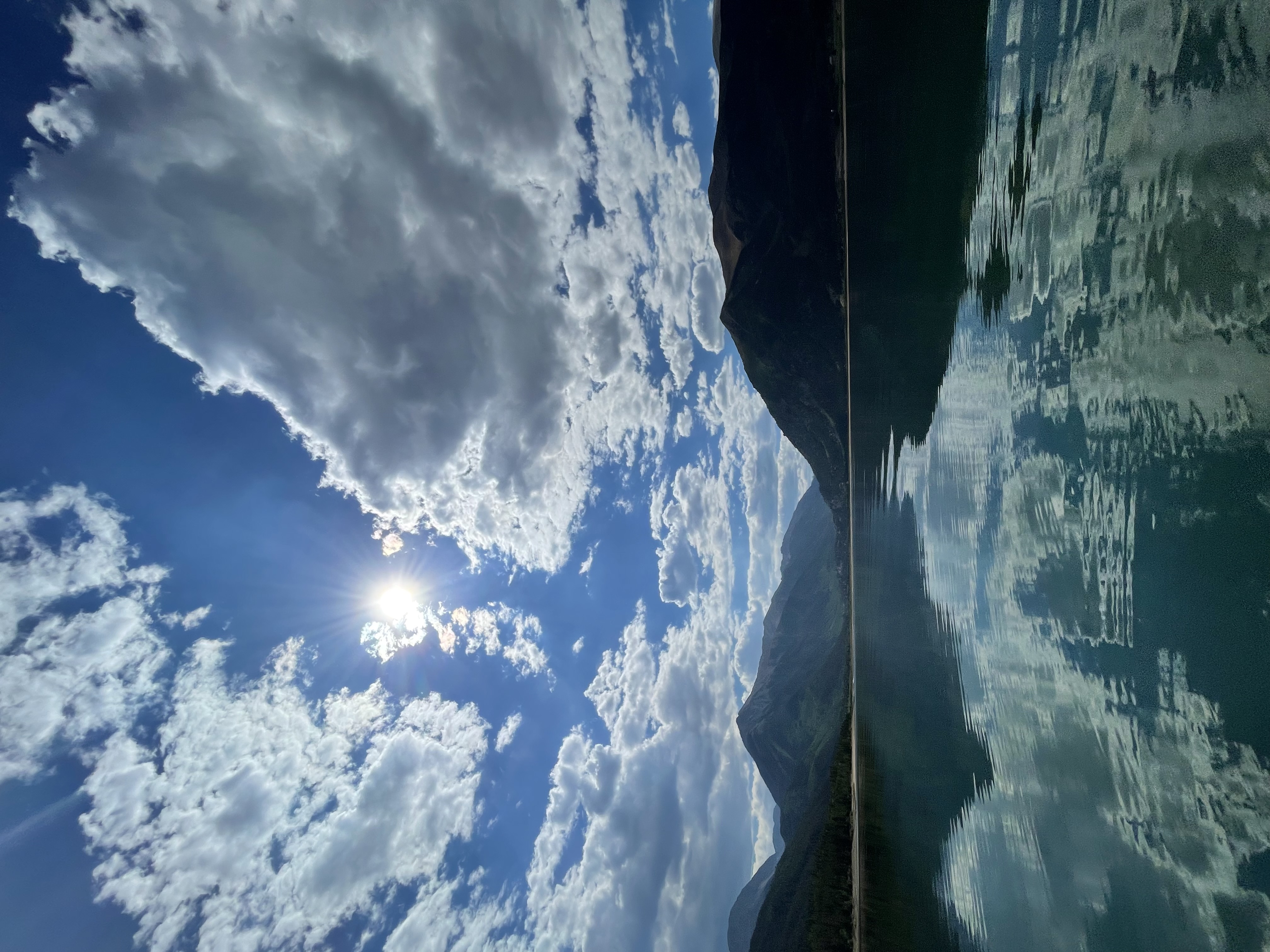 Nature photo
