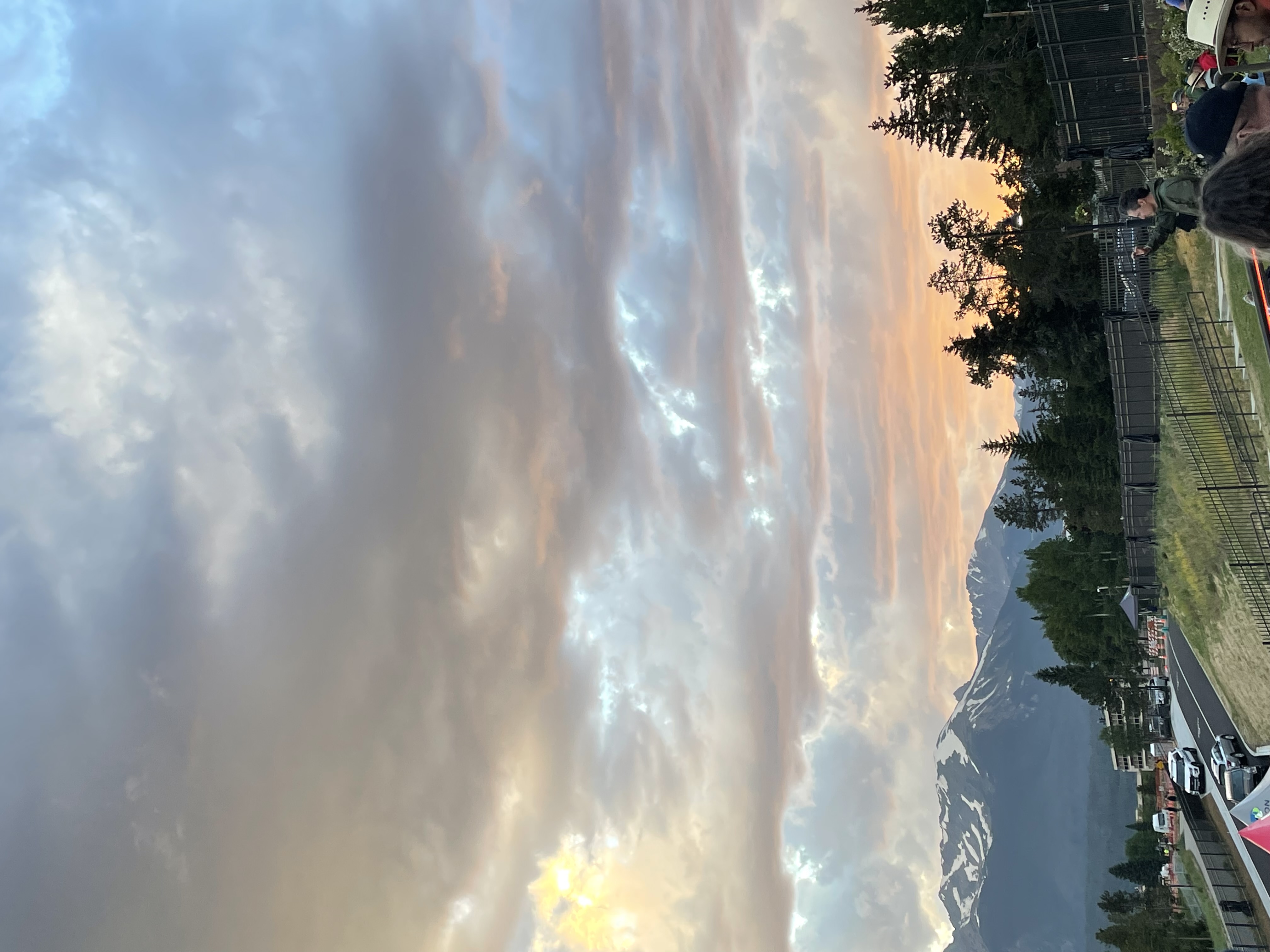 Nature photo