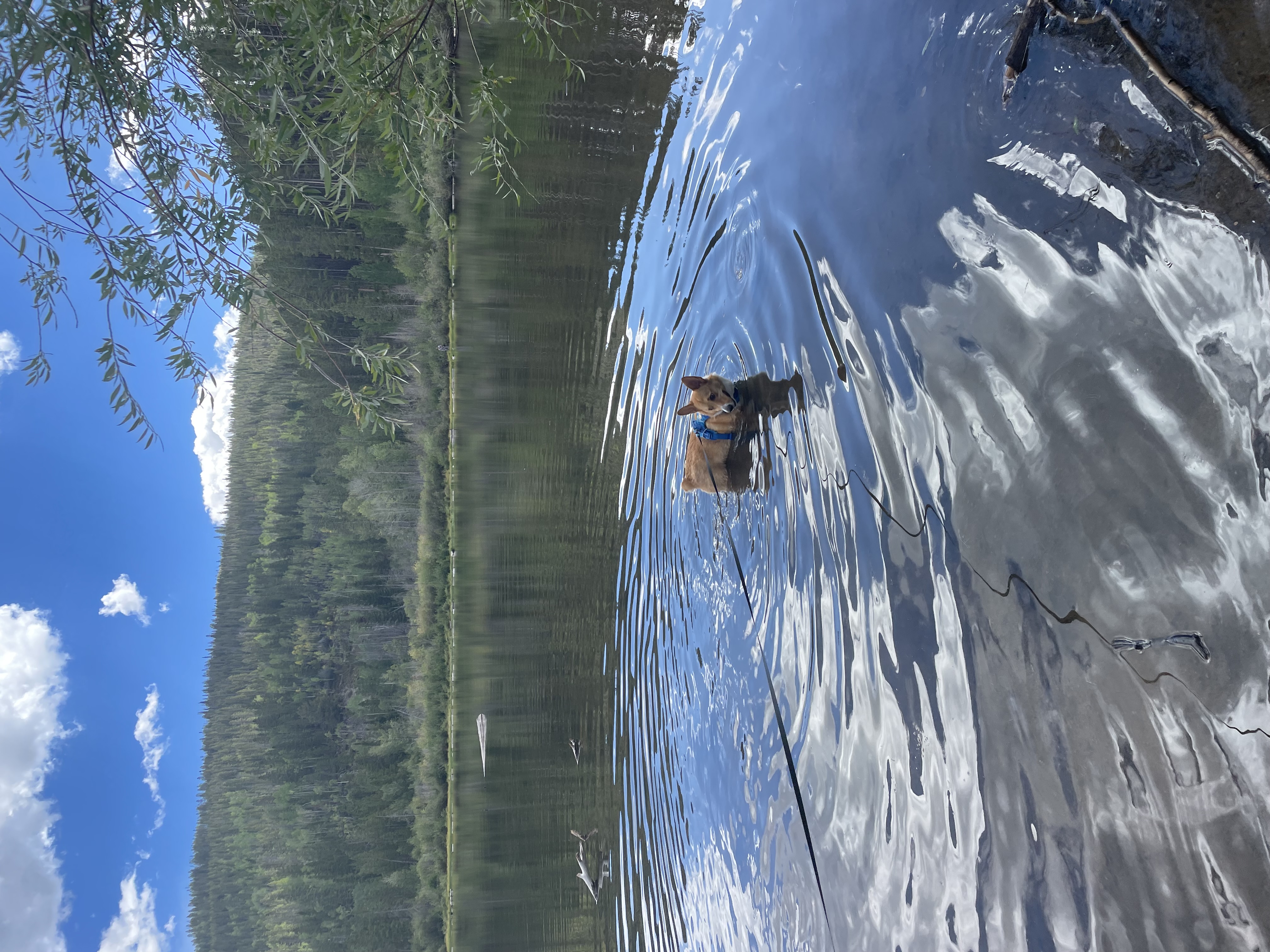 Nature photo