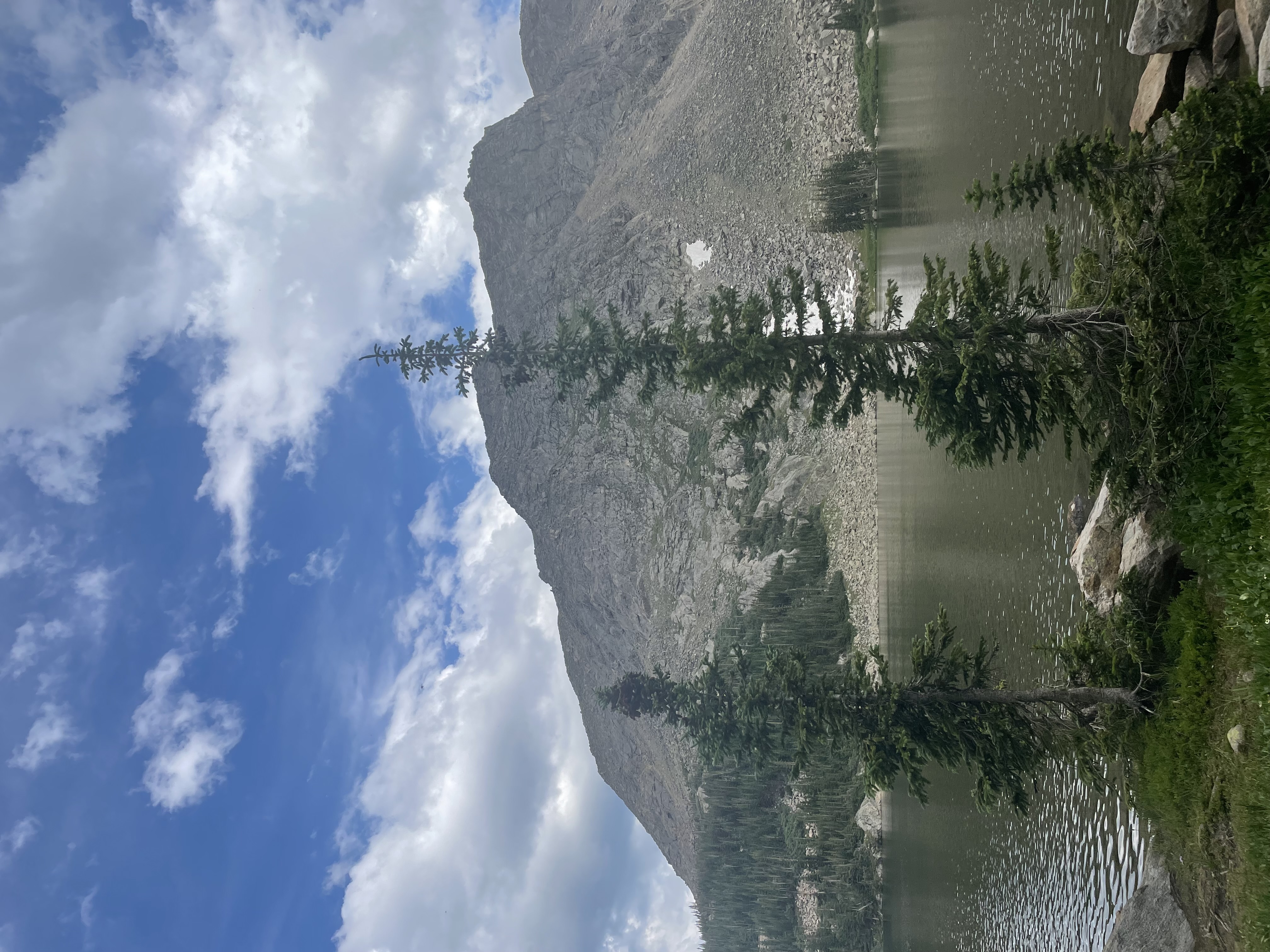 Nature photo