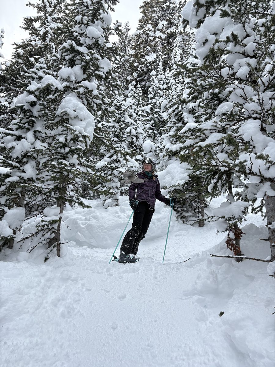 Skiing photo
